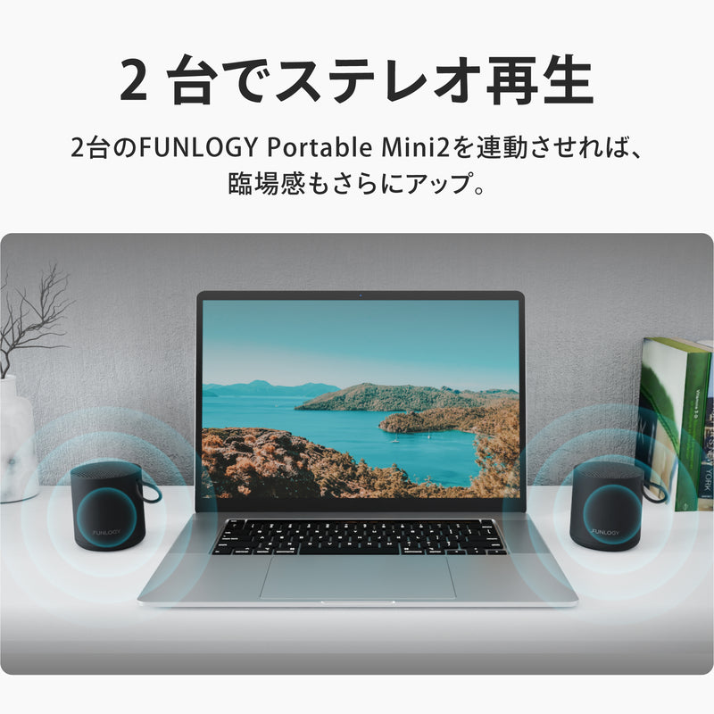 2台でステレオ再生。