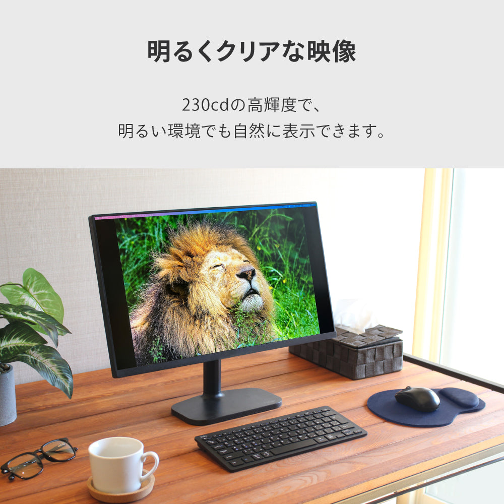 FUNLOGY Monitor / モニター