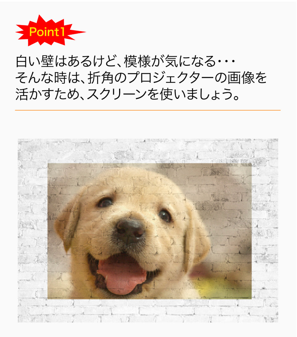 FUNLOGY 50 / スクリーン